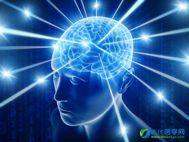Neuron：人类大脑中可能包含社交导航“地图”