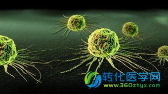 复旦80后博导Cell stem cell揭示癌症转移新机制