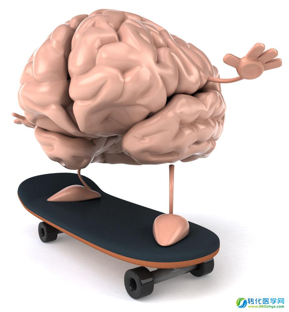 Science：你脑子是一桶浆糊还是一团纸？