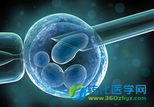 Nature发表干细胞重要成果