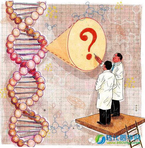 最新研究显示语言可帮助辨识人口基因特征
