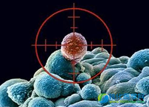 肿瘤免疫细胞疗法 或将进入规范化时代