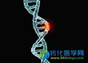 基因组测序助力肿瘤精密治疗