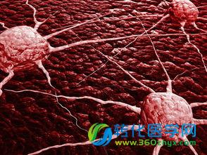 推进癌症研究的新细胞结构