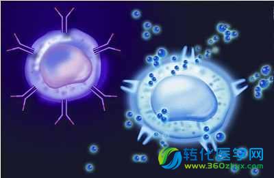 姜学军教授Cell子刊解析细胞死亡新形式