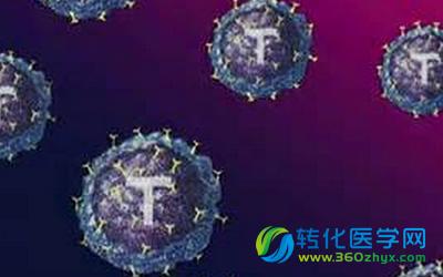 磁性纳米粒子装置可加速T细胞生成 或使免疫疗法得到广泛应用