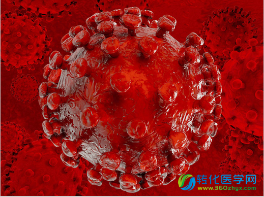 揭秘HIV如何利用宿主免疫系统来进行感染扩散