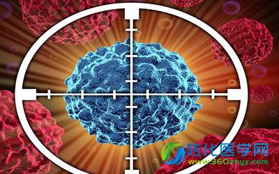 美国著名院士Science发布免疫学重要发现