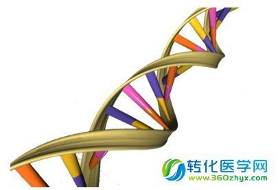 揭秘古老蛋白修复损伤DNA的机制 或帮助开发抗癌疗法