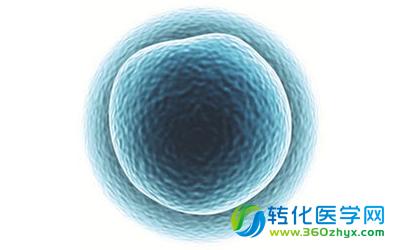 Nature盘点干细胞领域里程碑成果