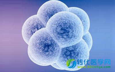 Nature子刊发表干细胞重要突破