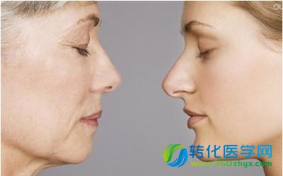 EMBO J：告诉你衰老的真相