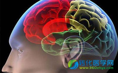 为什么人在失去半个大脑后还可以正常的生活？