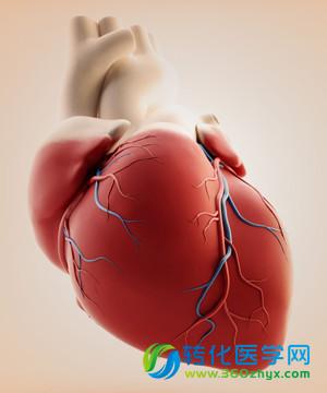 Nature发布心脏病重大发现