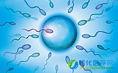 中科院百人计划解析精子发生调控机制