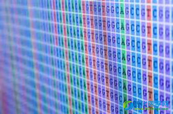 国家心肺血液研究所资助Broad研究所4000万美元进行大规模的全基因组测序计划