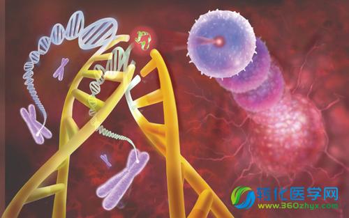 Epic Science和Upenn合作研究单细胞液体活检技术