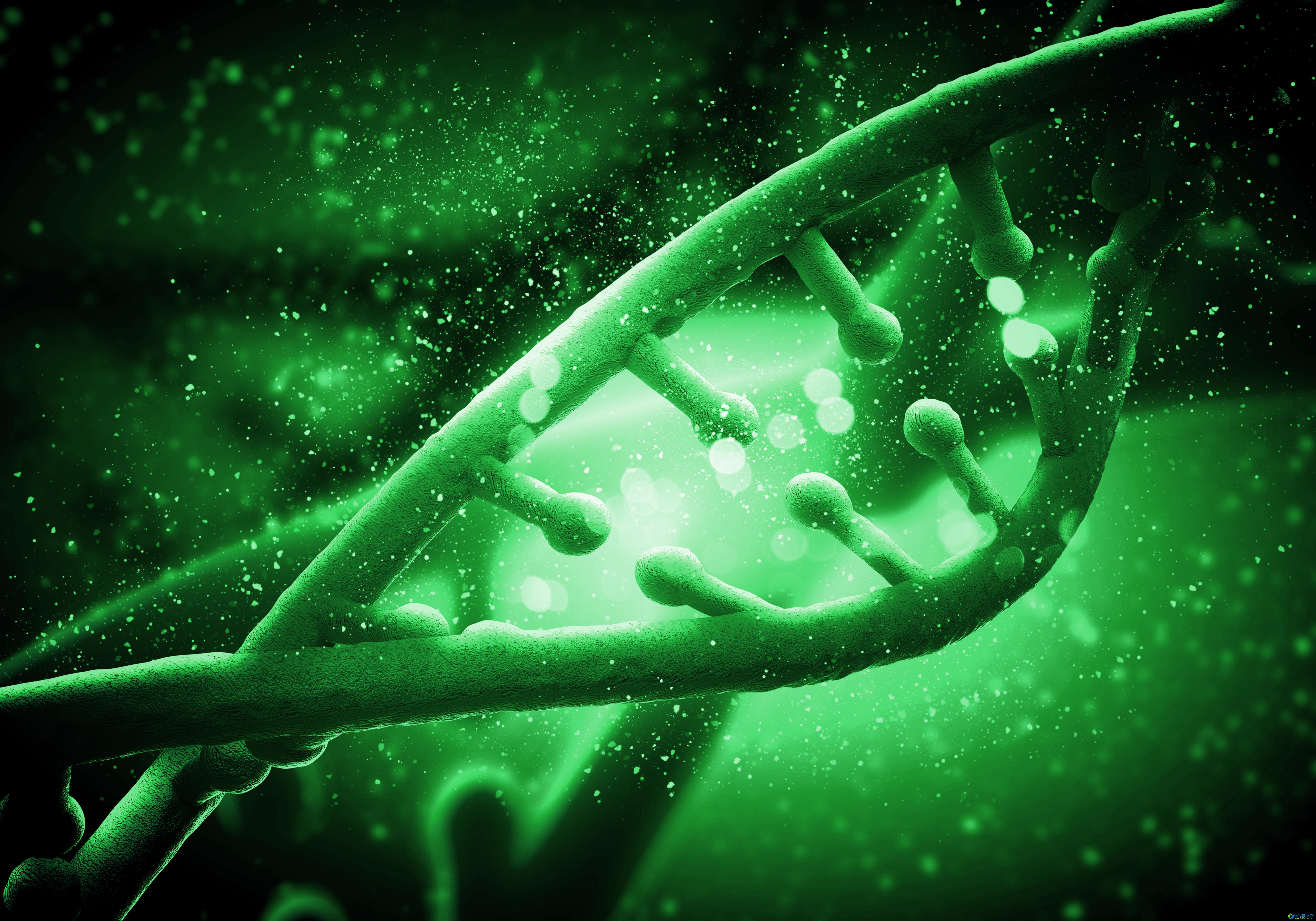 基因DNA设计图__科学研究_现代科技_设计图库_昵图网nipic.com