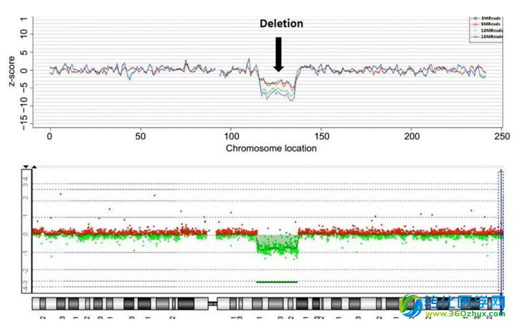 科学家扩展无创产前筛查(NIPT)用于更多染色体异常类型的检测