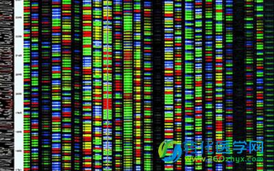 GWAS分析确定的五种子宫内膜癌高风险基因 