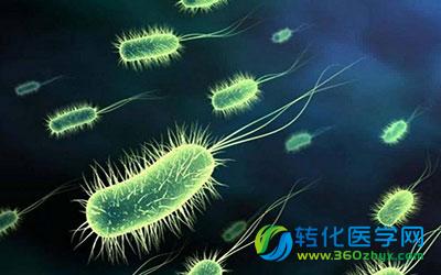 你知道吗？人体微生物竟影响大脑和免疫治疗