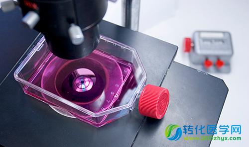 个性化治疗的希望！3D细胞培养技术即将走向春天！