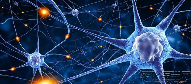 重磅研究：人类皮肤细胞可直接转化为运动神经元