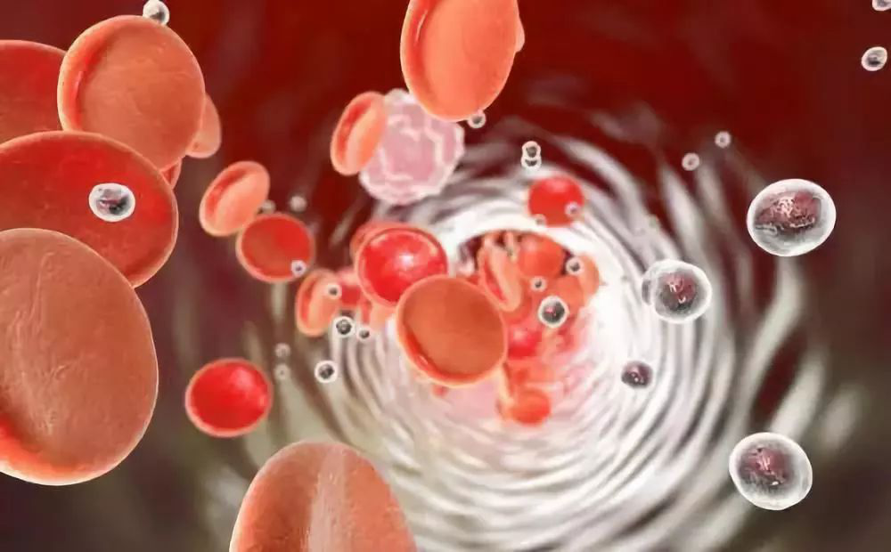 【Nature】白血病干细胞存活的关键找到了，能否据此根除白血病？