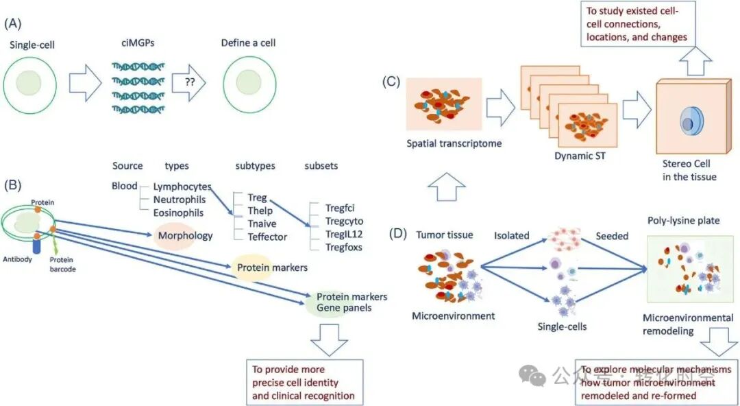复旦大学附属中山医院王向东教授等首次系统提出“立体细胞”全新概念，新一代精准医学的研创源泉