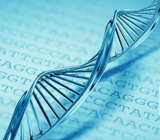 行业报告：全球DNA测序行业商业模式与投资预测分析报告