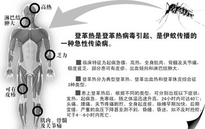 广东现1140多例登革热患者 如何预防登革热