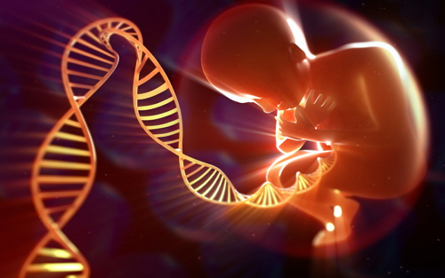 基因测序有望用于辅助生育医疗 PGS助力试管婴儿成功率