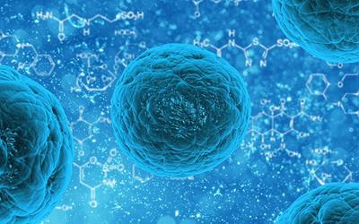 Cell重大突破：多能干细胞变“全能” 可分化任意类型细胞