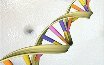 Nat Biotechnol：四篇文章阐明全球RNA测序遗传分析技术的精确性