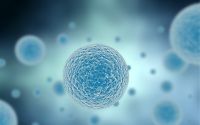 Cell Stem Cell：新型混合剂可将成体细胞重编程为多能性干细胞