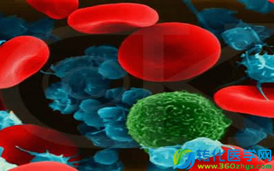 NEJM：个性化的细胞疗法实现对急性淋巴细胞白血病的突破性治疗