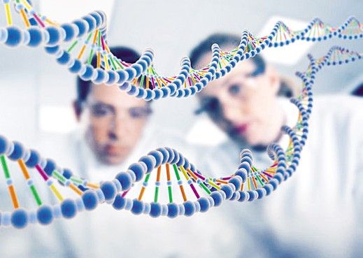 DNA分子太空高温旅行后存活 仍可传递遗传信息