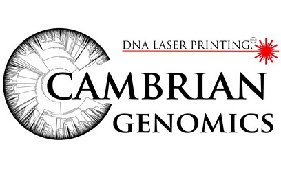 饱受争议的DNA激光打印，激发创造新生物的可能性