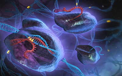 改造型Cas9:RNA病毒的新杀器？