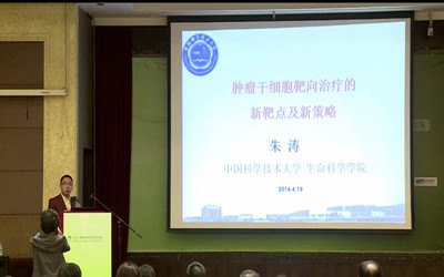 朱涛：肿瘤干细胞靶向治疗的新靶点及新策略的研究