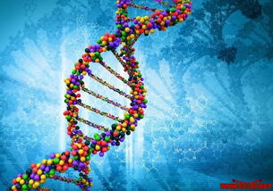 基因分型市场2020年将达到170亿美元