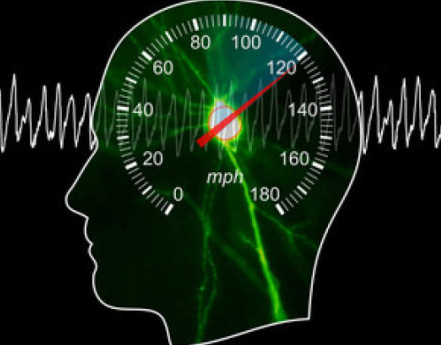 Neuron封面文章：大脑也有“速度里程表”