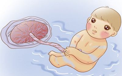 治疗白血病 世界首例胎盘干细胞移植获成功