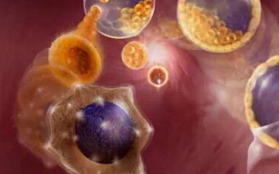 一针上万元的细胞免疫治癌迎万亿投资风口？姚记扑克、开能环保都来“掺和”了