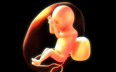 莞籍父母新生儿可免费筛查