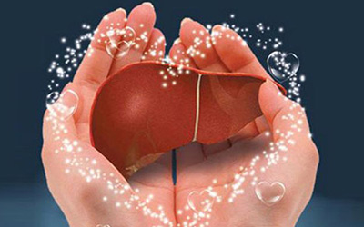 Cell发布肝脏再生医学重大发现