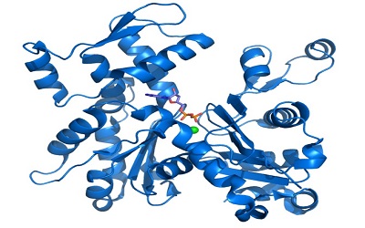 Nature：健康细胞究竟如何扫除蛋白“非法聚会”？