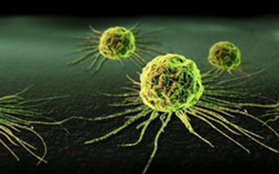 Nature:癌细胞压力和细胞自噬存在关联