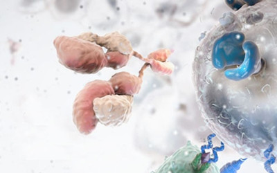细胞免疫治疗 您真的了解吗？