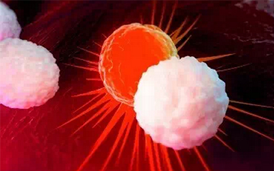 Science新闻：一点灰尘揭露你家里的小秘密